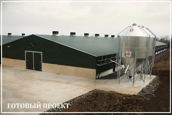 Этапы возведения птицефабрики от завода ВелесТент-нвб